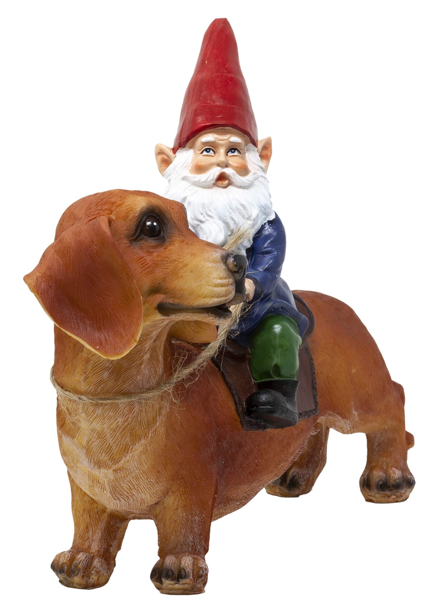 Funny Guy Mugs Gnome and a Dachshund Garden Statue- Indoor/Outdoor Garden Dog Gnome Sculpture for Patio, Yard or Lawn
